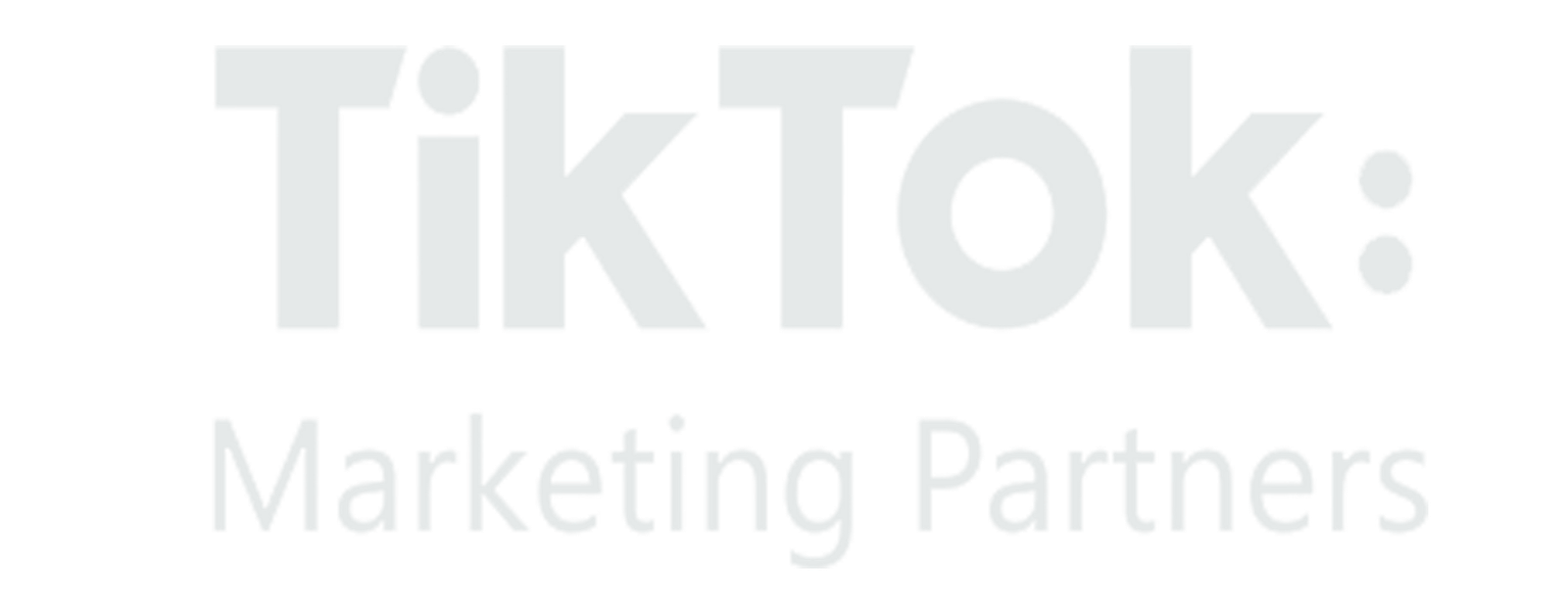 TikTok Partners